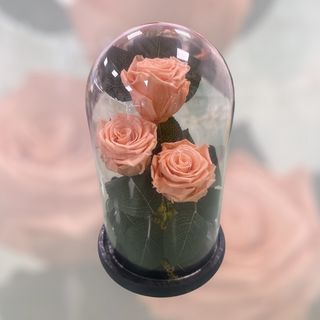 Campânula XL SALMÃO