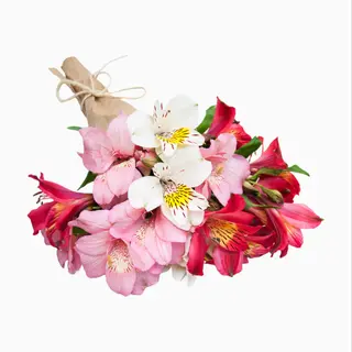Bouquet de Astromélias