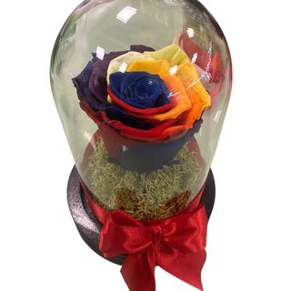 Campânula  ARCO-IRÍS