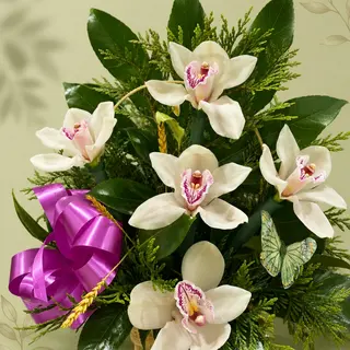 Cesta de Orquídeas