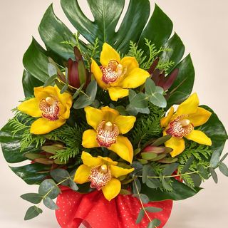 Cesta de Orquídeas