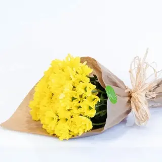 Bouquet de Margaridas