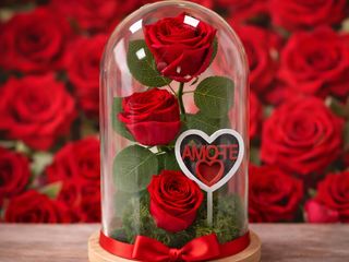 Campanula Rosa Preservada 3