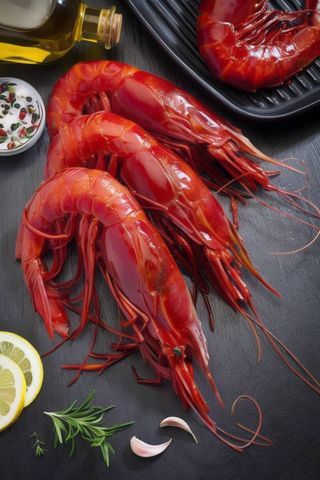 Camarão Tigre Médio