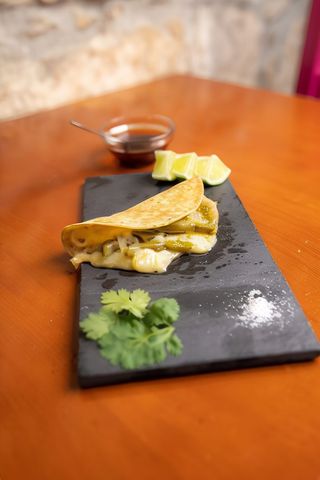 Quesadilla Cactus 