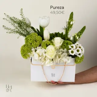 Mãe Pureza