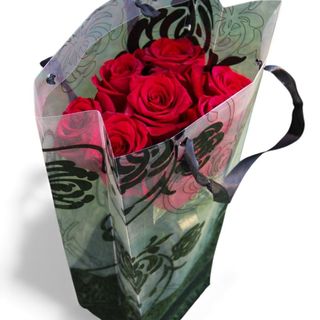 6 Rosas Vermelhas em Saca