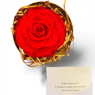 Rosa Premium Preservada - Com Bilhete de Amor
