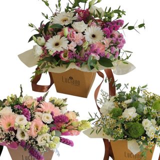 Caixa ao Nosso Gosto