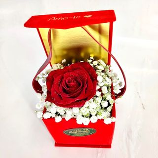 Miminho com 1 Rosa Vermelha