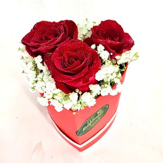 Miminho em forma de Coração com 3 Rosas Vermelhas