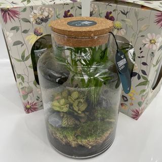 Terrário Natural Premium em Vidro
