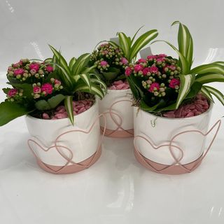 Arranjo Floral Charmoso em Vaso Coração