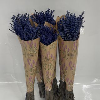 Alfazema Azul Preservada