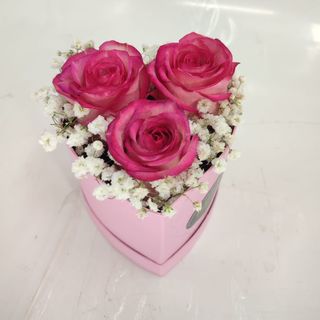 Miminho em Forma de Coração com 3 Rosas Cor de Rosa