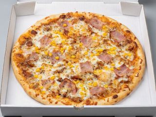 Pizza Brasil (26cm)