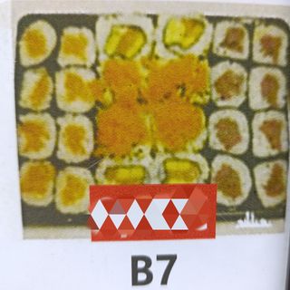 Combinado B7 (24 peças)