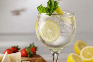 Gin fizz