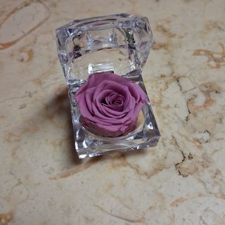 Rosa Preservada lilas em caixa