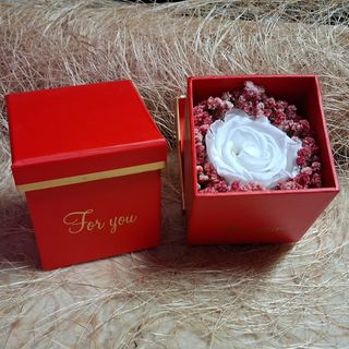 Rosa Preservada For You