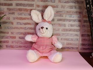 Coelha fofinha Salmão