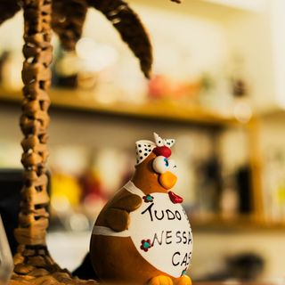 Prato do dia - Quarta-feira