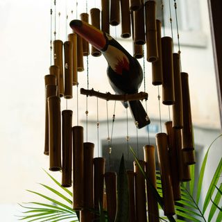 Prato do Dia - Terça-feira