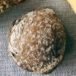 Pão de Malte (1 unid.)