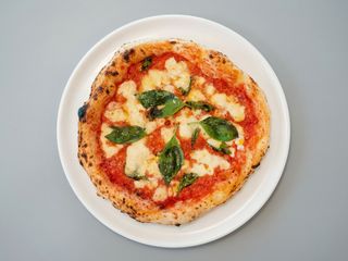 Pizza Margherita