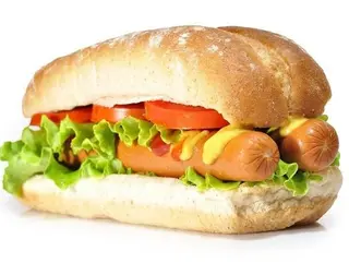 Cachorro