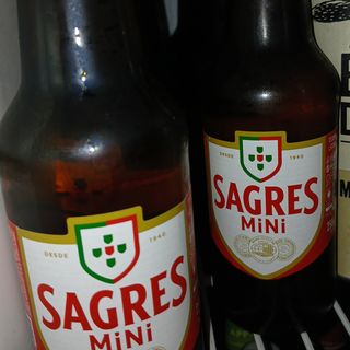 sagres mini 20cl (24un)