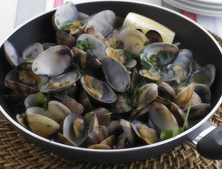 Ameijoas Bulhão Pato