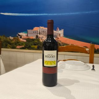Vinho tinto da casa