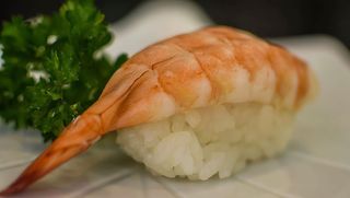 3.Nigiri Gamba