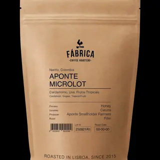 Aponte Microlot Filter