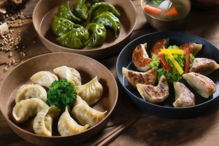 Duck Dumplings 2 p