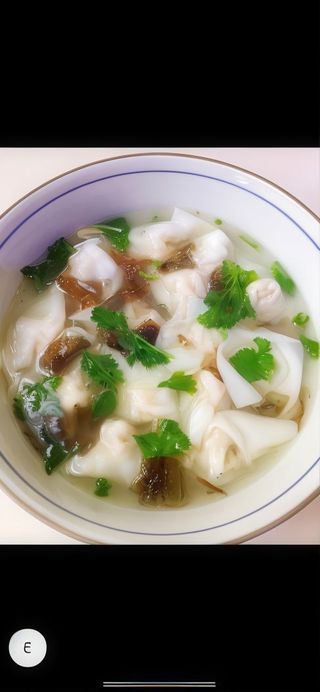 67 Sopa wanton