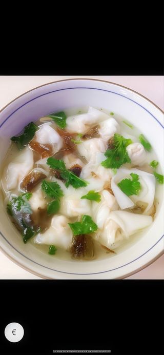 T67 1/2 sopa wanton