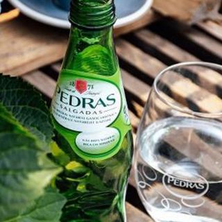 Agua Pedras Salgadas natural 0.33ml