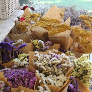 Ramo Seco ao Nosso Gosto