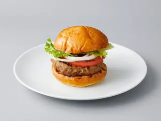 HUMBURGER VEGETARIANHO 