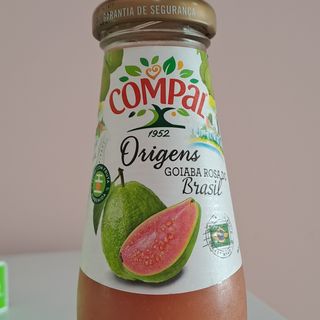 Compal Goiaba do Brasil