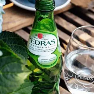 Agua Pedras Salgadas natural 0.33ml