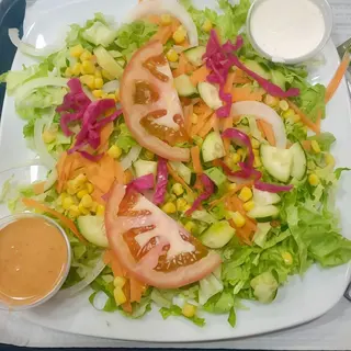 Salada Vegetariana 