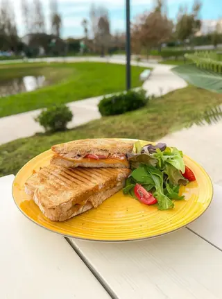 Tosta de Atum