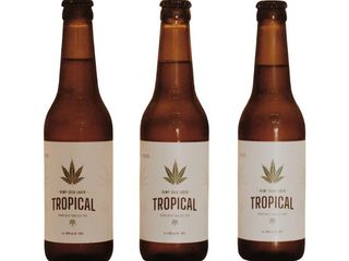Tropical Hemp Beer