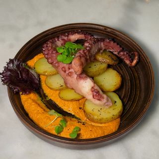 POLVO