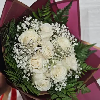 Sonho de Marfim