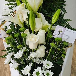 Brilho do Dia blanco 