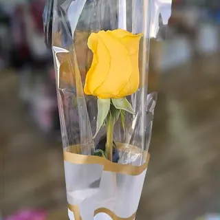 Rosa pasion uni